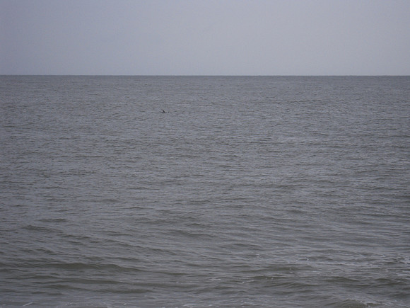 PIX 2009 023