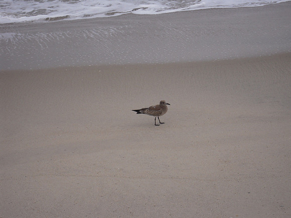 PIX 2009 024