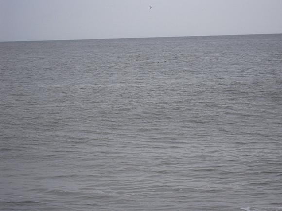 PIX 2009 025