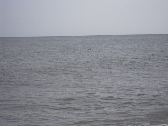 PIX 2009 026