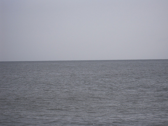 PIX 2009 028