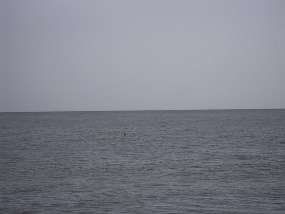 PIX 2009 029