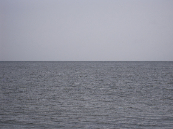 PIX 2009 030