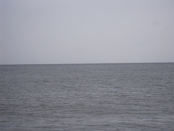 PIX 2009 031