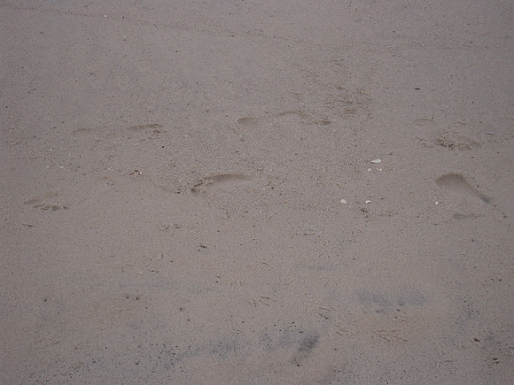 PIX 2009 033