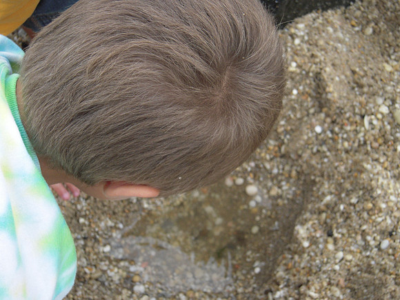 PIX 2009 037