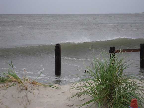 PIX 2009 061