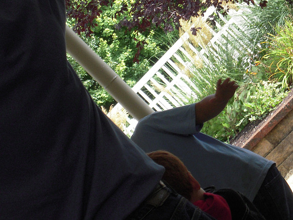PIX 2009 095