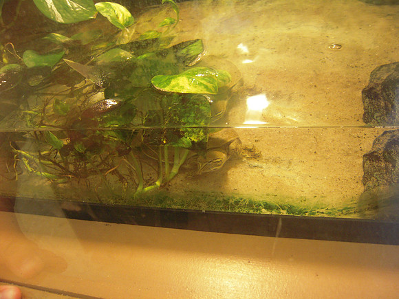 PIX 2009 129