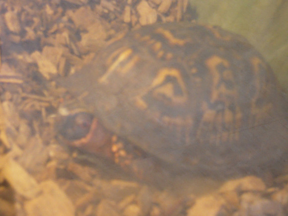 PIX 2009 133