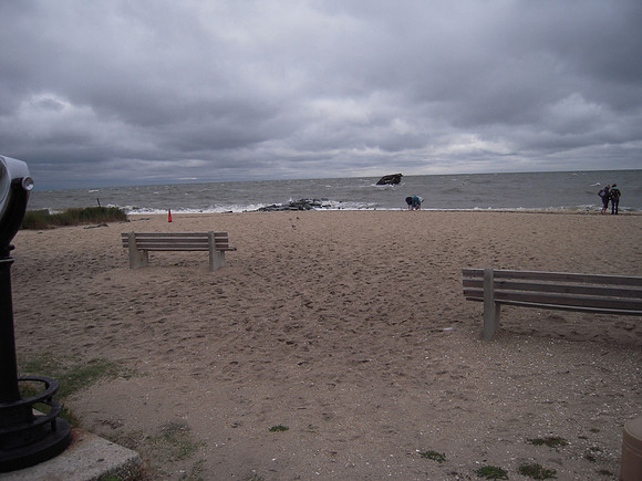 PIX 2009 150