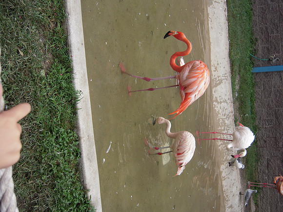 PIX 2009 171