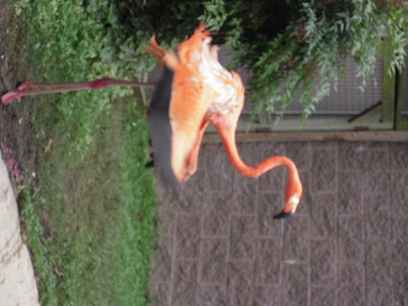 PIX 2009 174