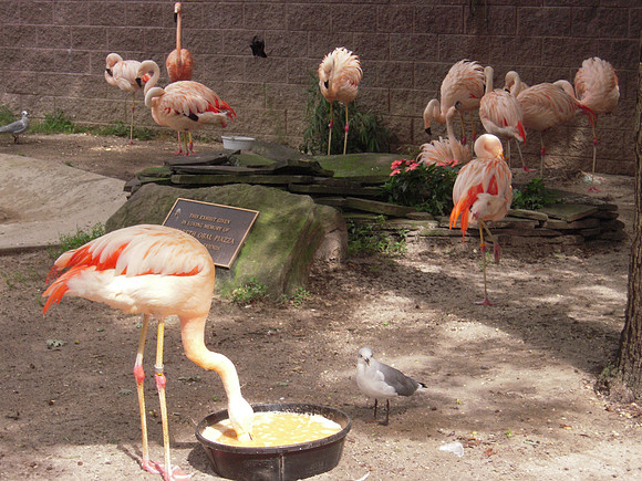 PIX 2009 177