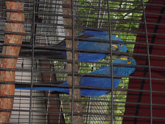 PIX 2009 178