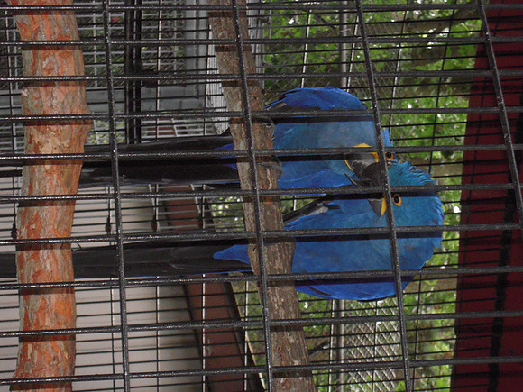 PIX 2009 179