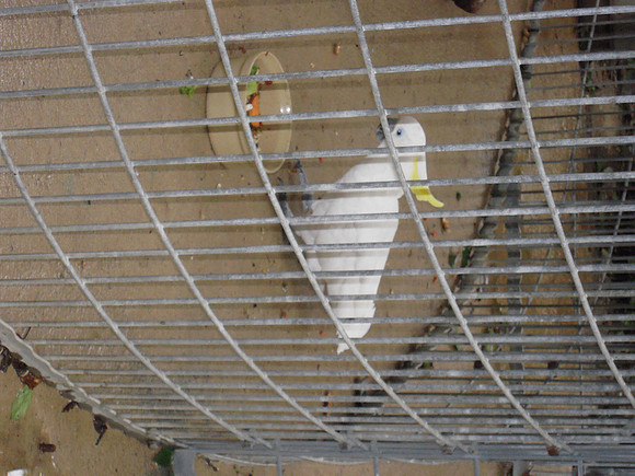 PIX 2009 180