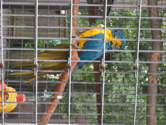 PIX 2009 181