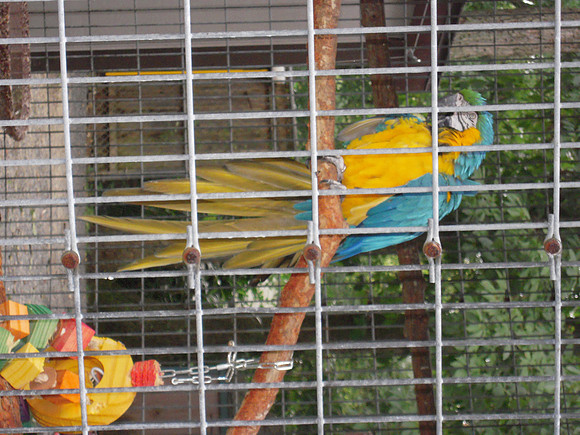 PIX 2009 182