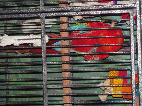 PIX 2009 185