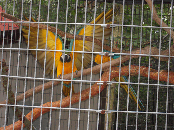 PIX 2009 183