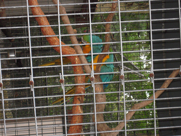 PIX 2009 184