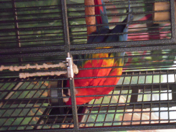 PIX 2009 186