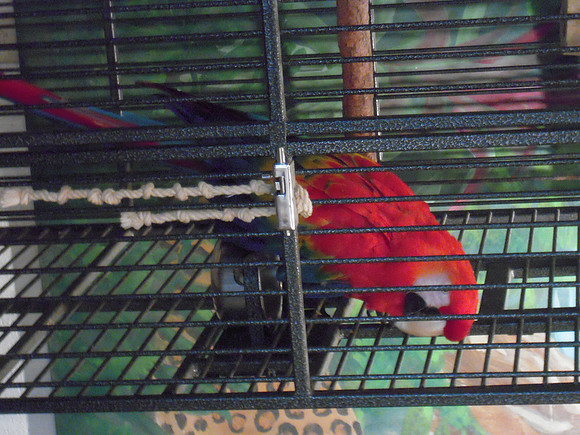 PIX 2009 187