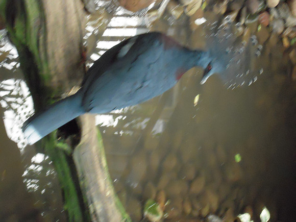 PIX 2009 189