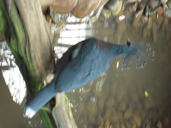 PIX 2009 188