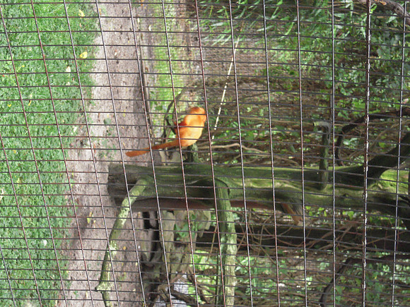 PIX 2009 191