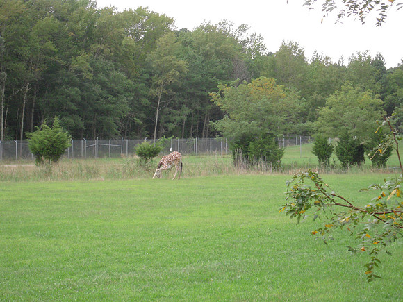 PIX 2009 194