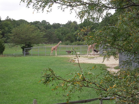 PIX 2009 195