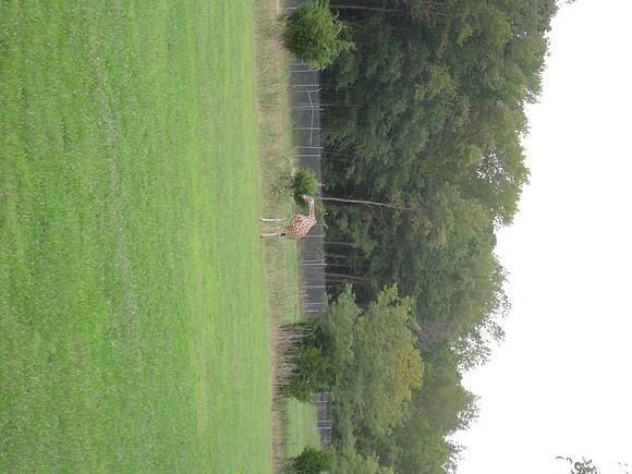 PIX 2009 196