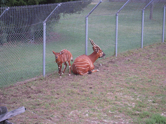 PIX 2009 199
