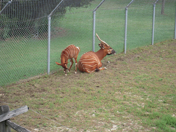 PIX 2009 200