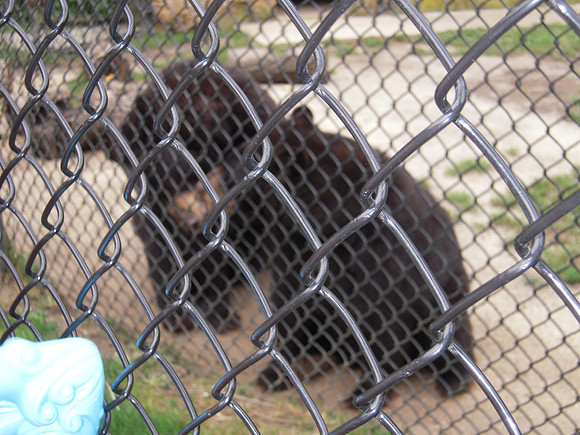 PIX 2009 202