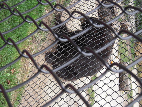 PIX 2009 204