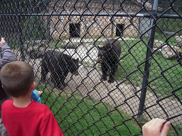 PIX 2009 203