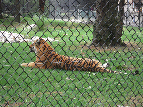 PIX 2009 207