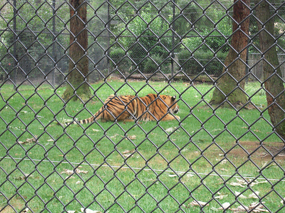 PIX 2009 208