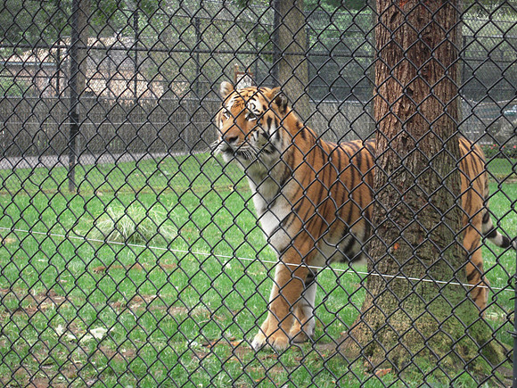 PIX 2009 210