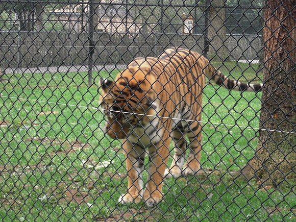 PIX 2009 211