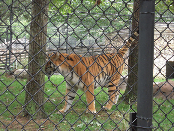 PIX 2009 212