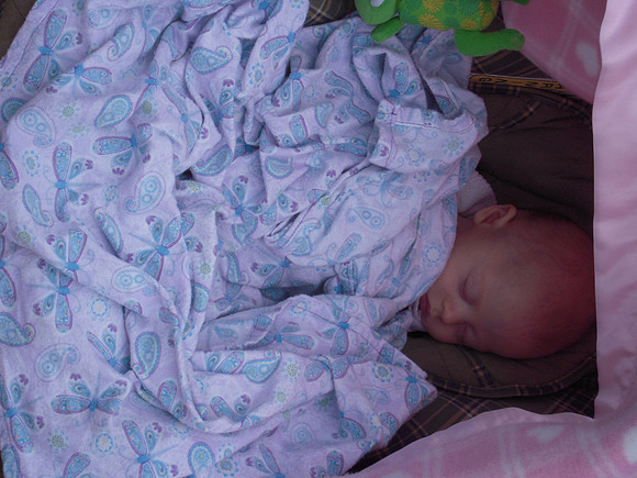 PIX 2009 267