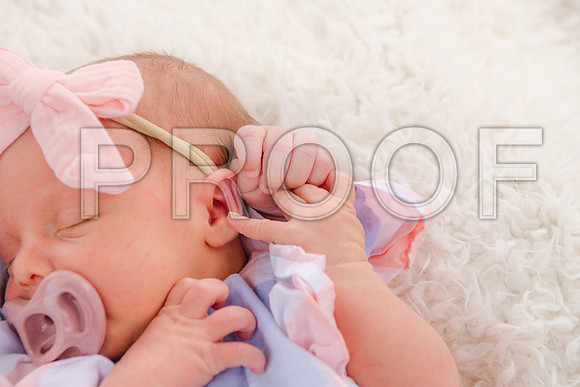 PD3_8679