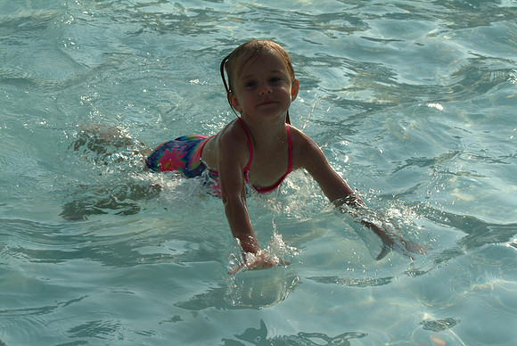 2005 (24)