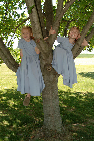 2006 (13)