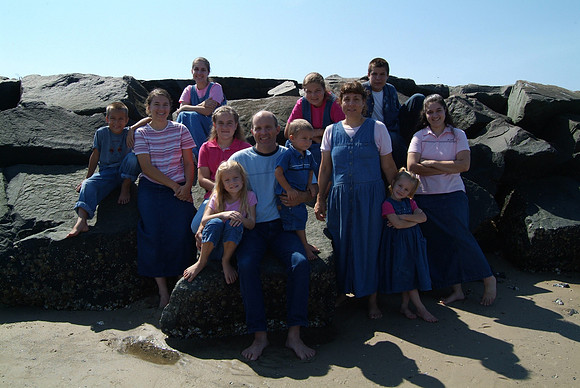 2006 (39)