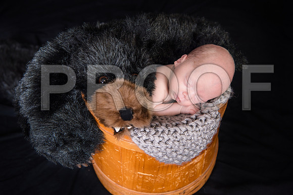JD4_1256